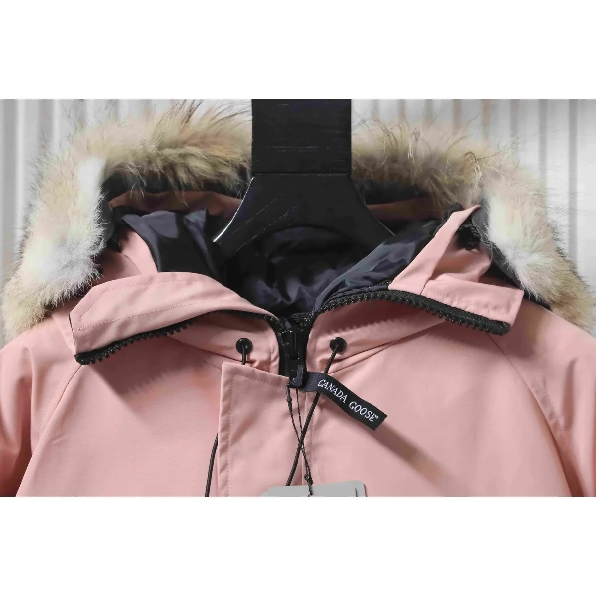 CG Chilliwack Bomber Jacket Short Down Jacket PBI Pink - Image 3