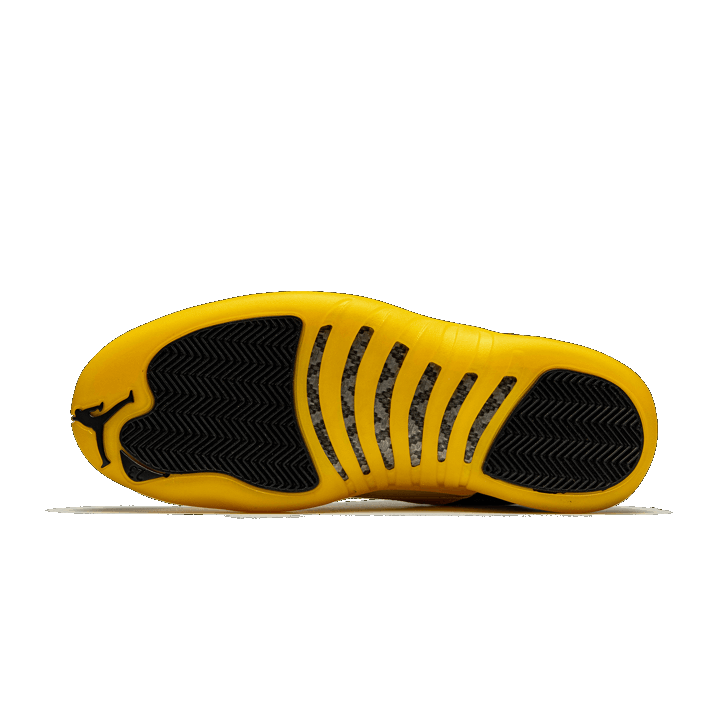 BLACK UNIVERSITY GOLD - Image 2
