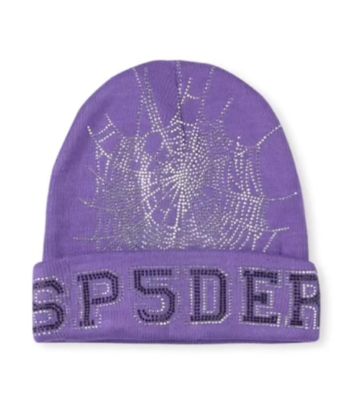 SPDR Web Beanie Purple