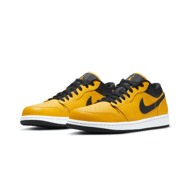 UNIVERSITY GOLD - Image 3